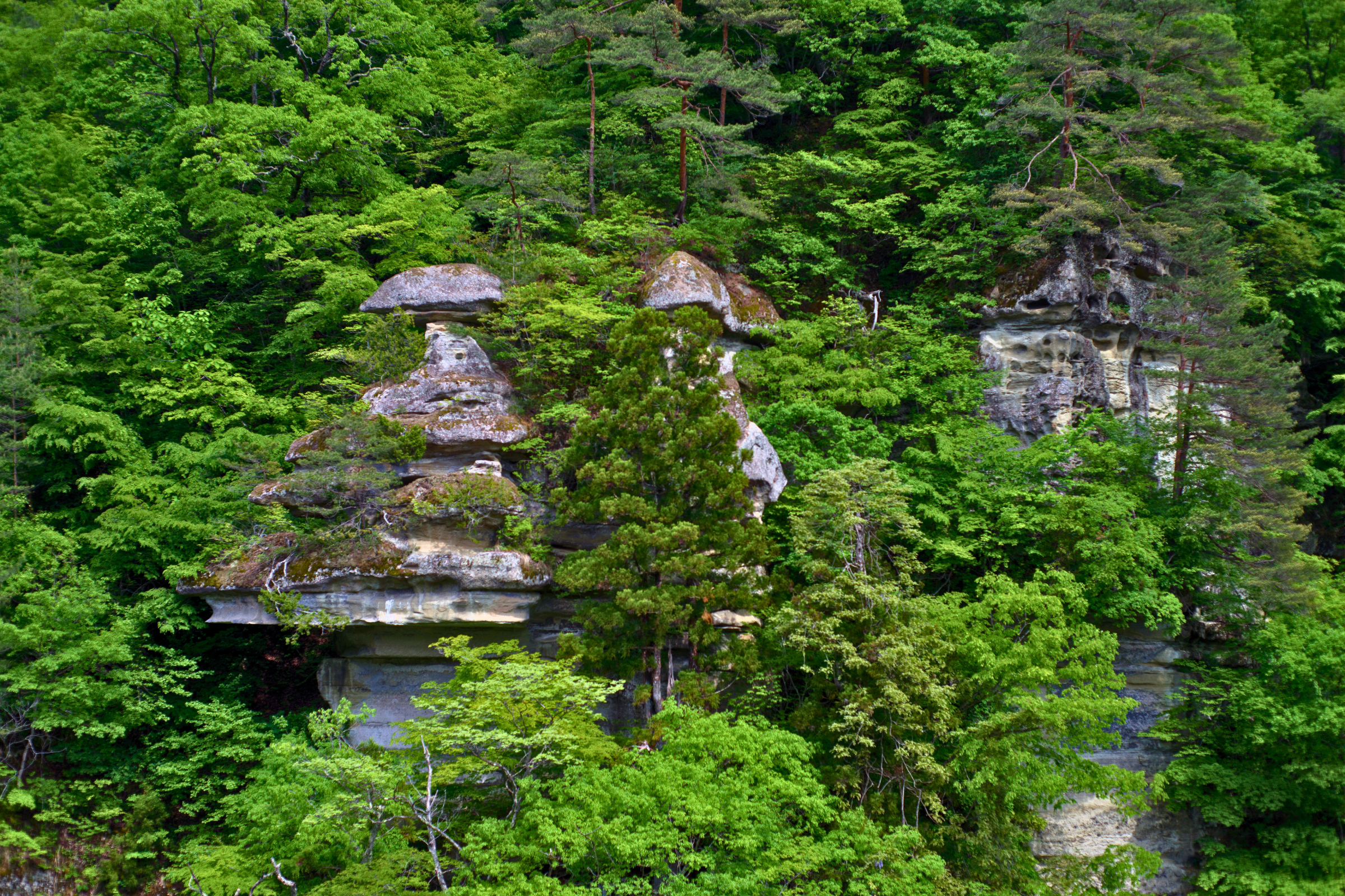 shimogo, fukushima (4).webp